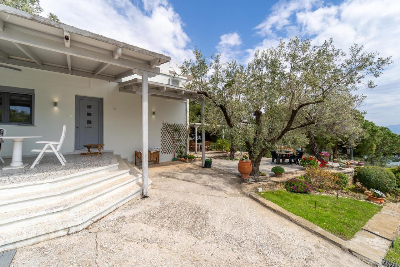 Elia Kavala - Mediterranean Palaiontsiflikion