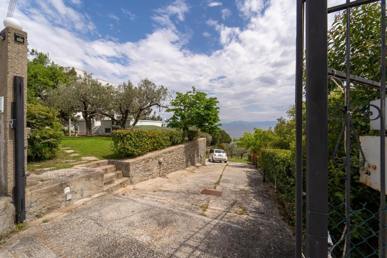 Elia Kavala - Mediterranean Palaiontsiflikion
