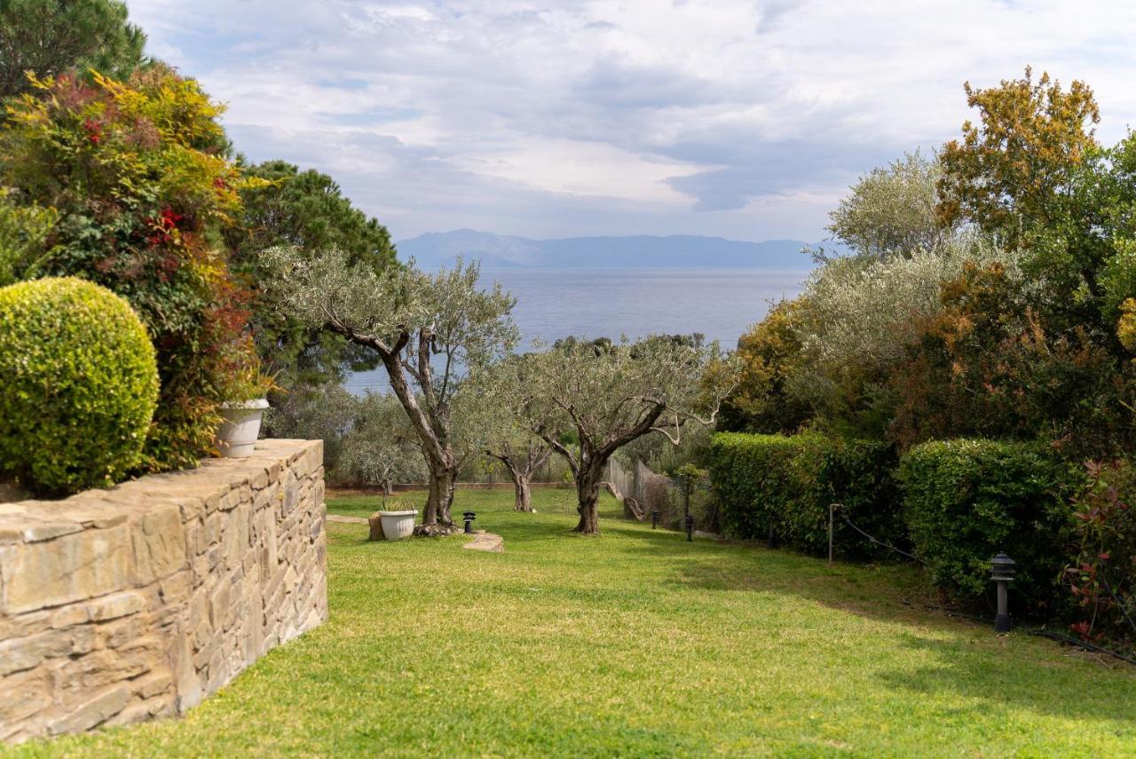 Elia Kavala - Mediterranean