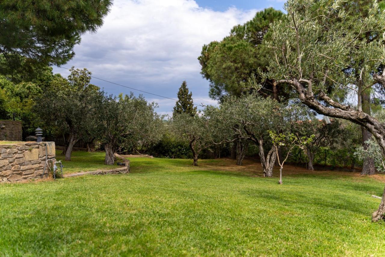 Elia Kavala - Mediterranean Palaiontsiflikion